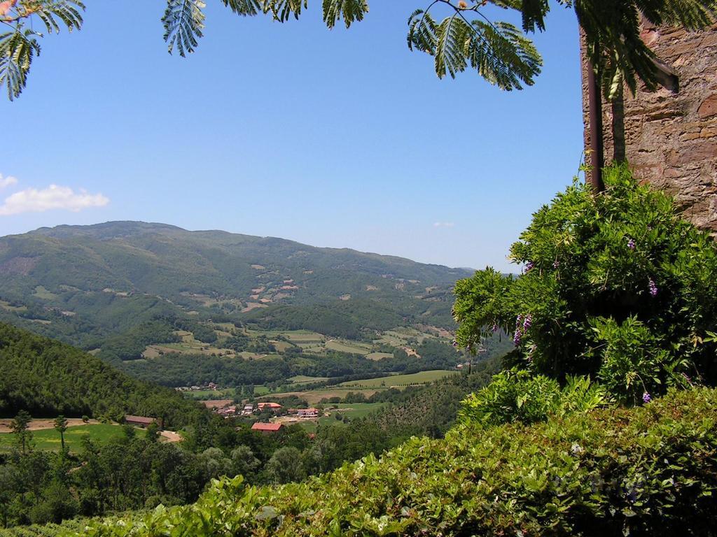 Fattoria Il Lago Dicomano Bilik gambar