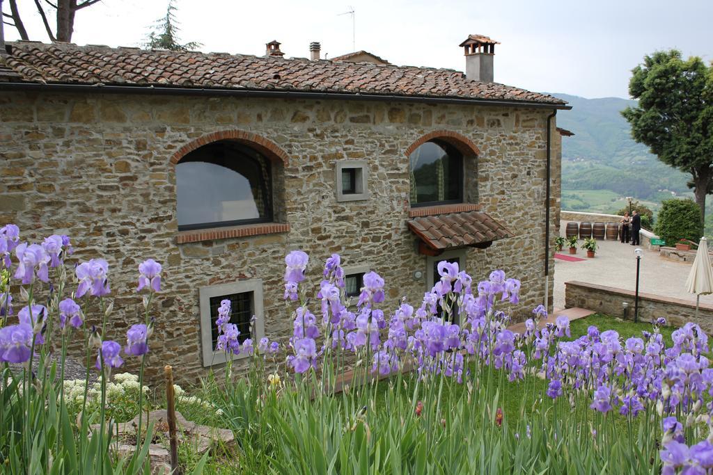 Fattoria Il Lago Dicomano Bilik gambar