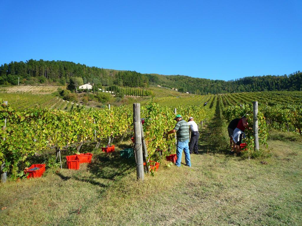 Fattoria Il Lago Dicomano Luaran gambar
